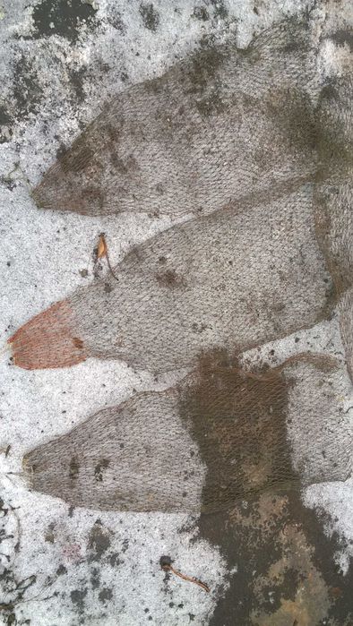 Радіолампи Конденсатори Мідь Проволока Дінаміки Телевізора