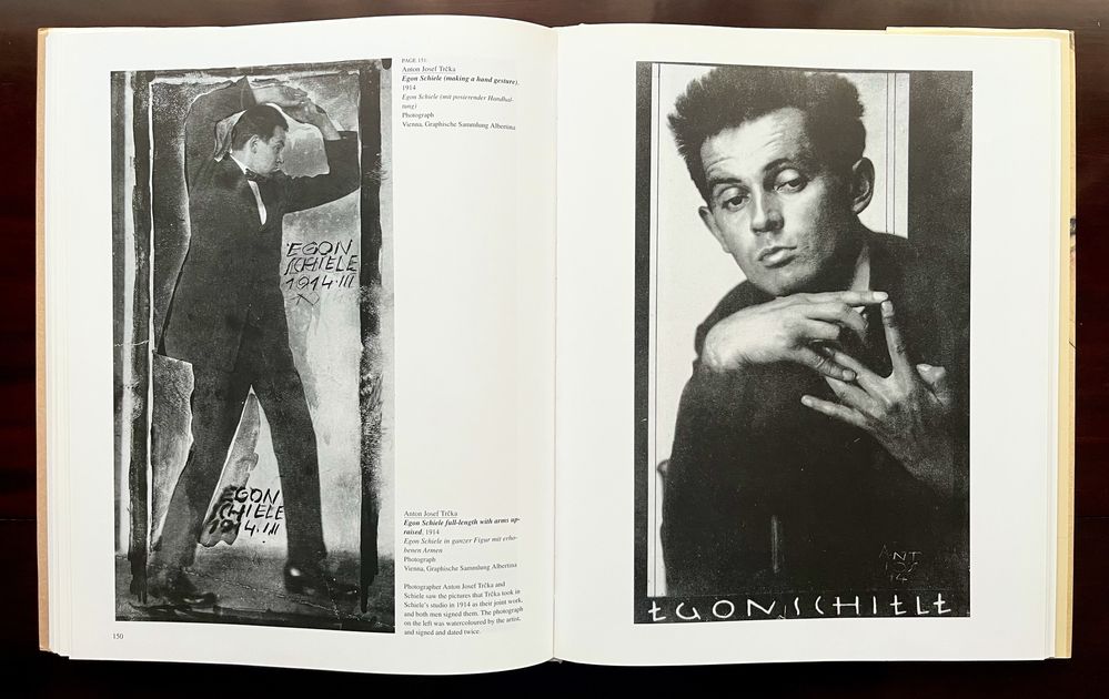 Egon Schiele - Desire and Decay (Livro Taschen)