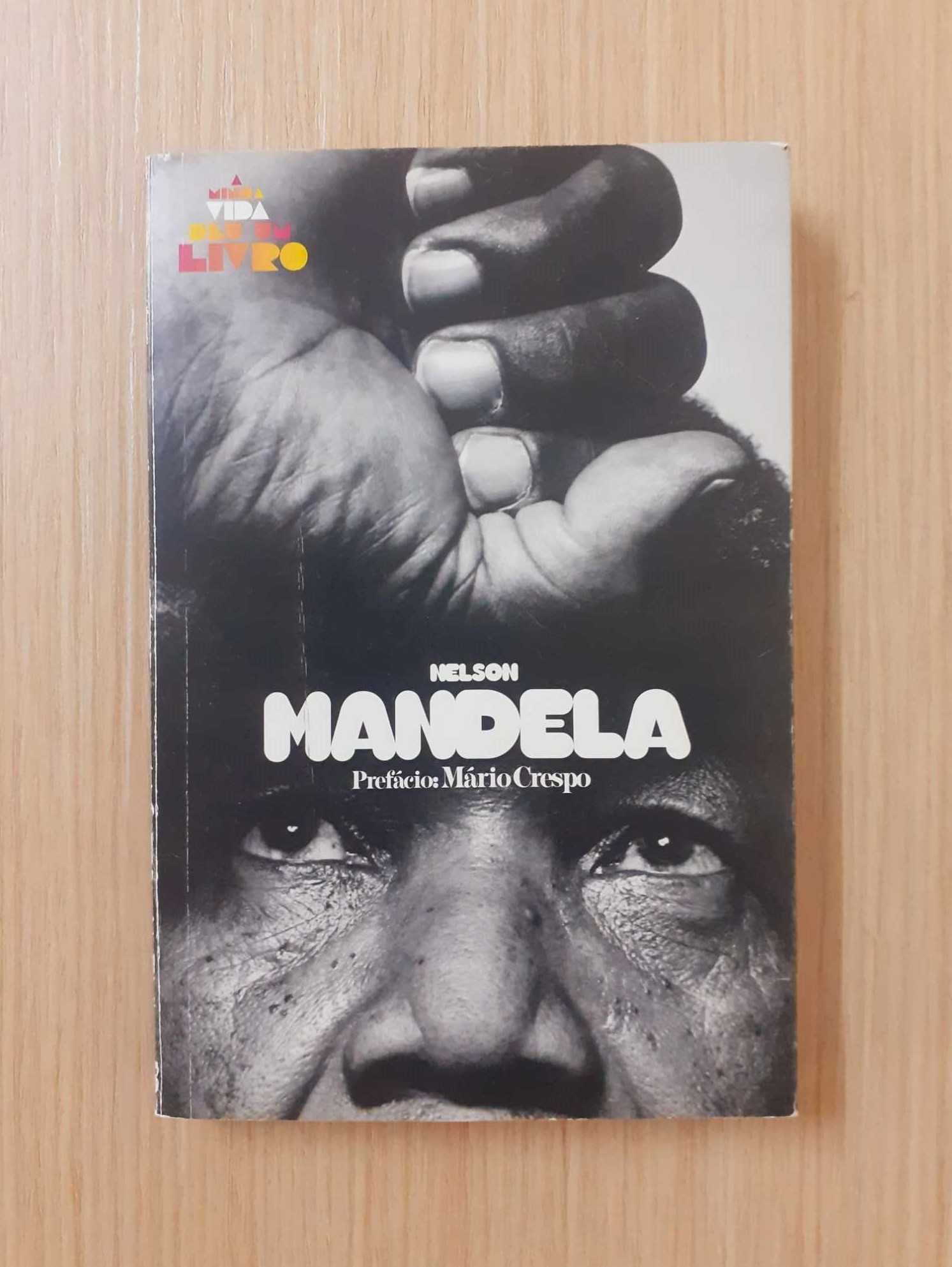 Nelson Mandela (Albrecht Hagemann)