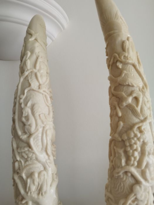 Dentes de elefante (imitação) em marfinite em base de madeira