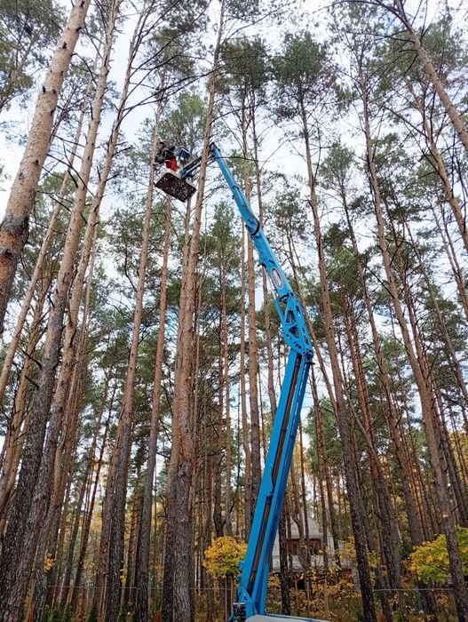 Wycinka drzew  czyszczenie działek wywóz gałęzi usuwanie karp
