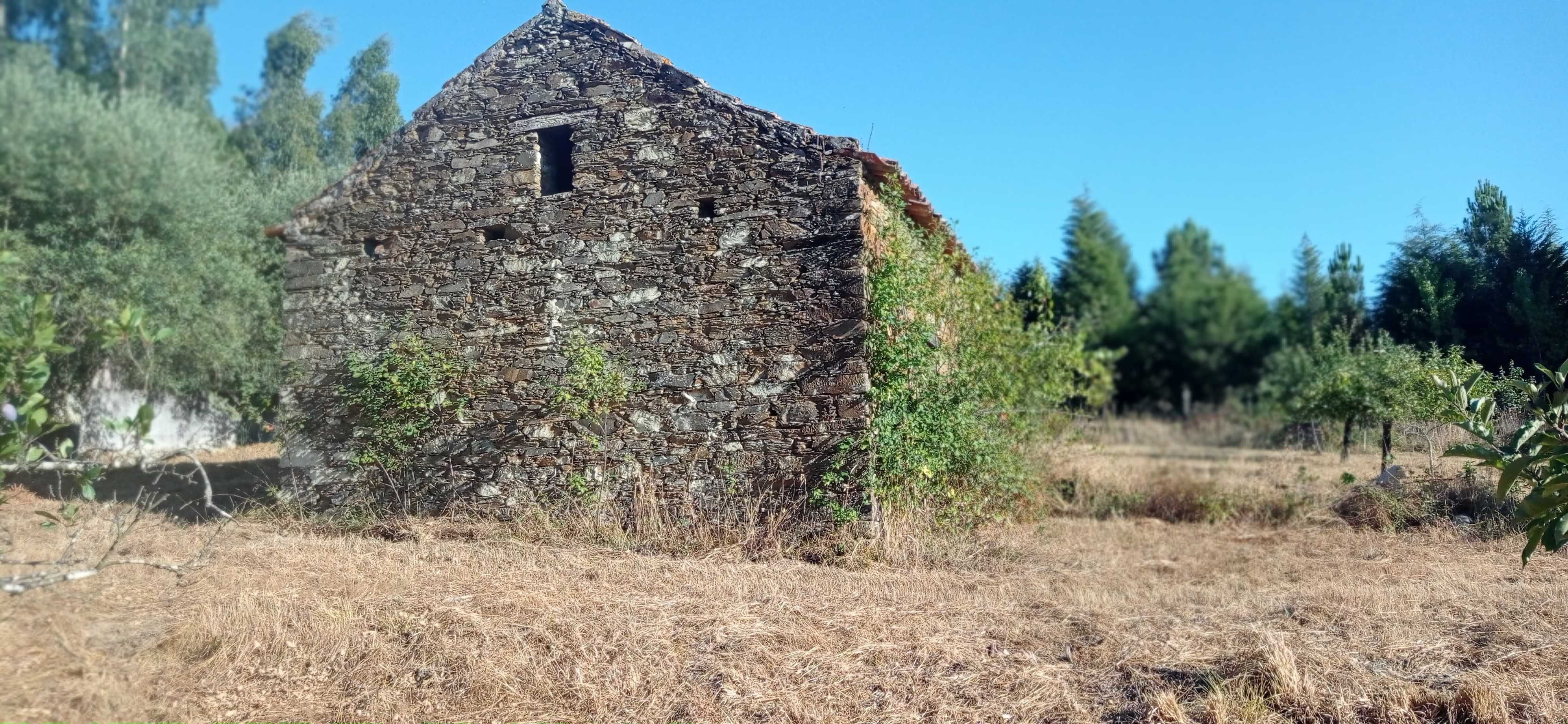 Terreno 1 hectare com casa rural e árvores de fruto