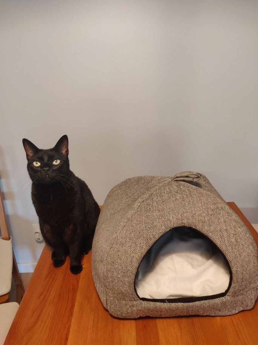 Cama igloo para gato