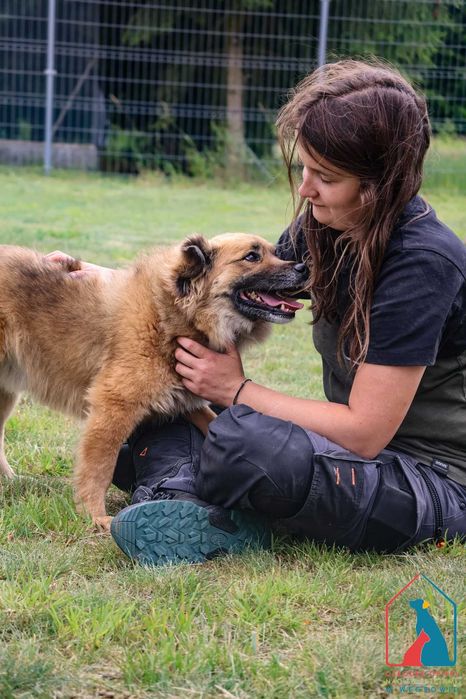 ŚLICZNY, MAŁY, uczuciowy i radosny - adoptuj przyjaciela