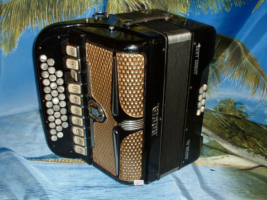 Concertina n. 71