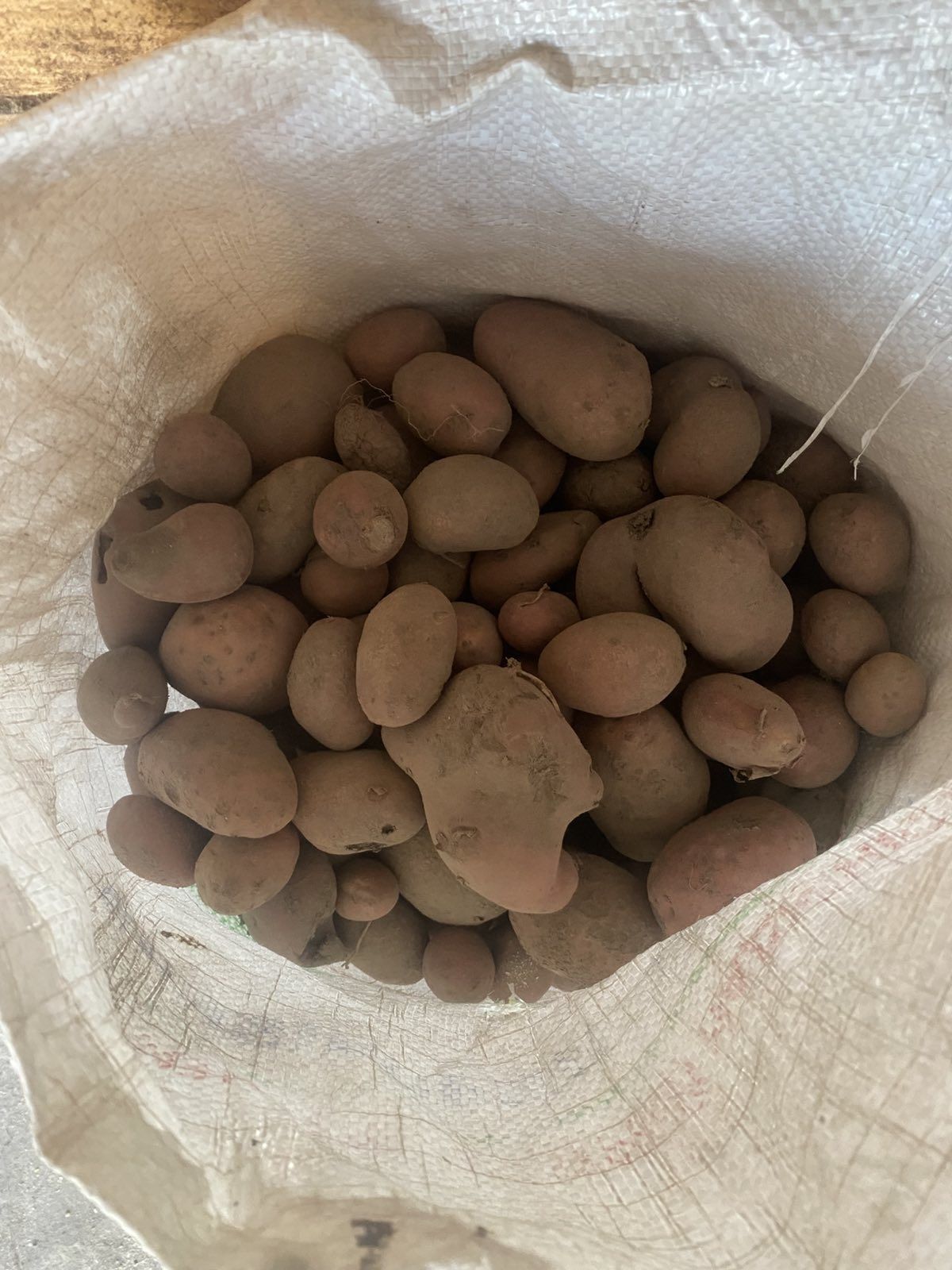 Продам дрібну картоплю