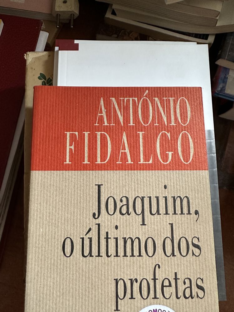 livro Joaquim, o último dos profetas de António Fidalgo