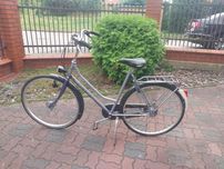 Rower batavus holenderski
