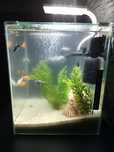 Akwarium AQUAEL led 30l
