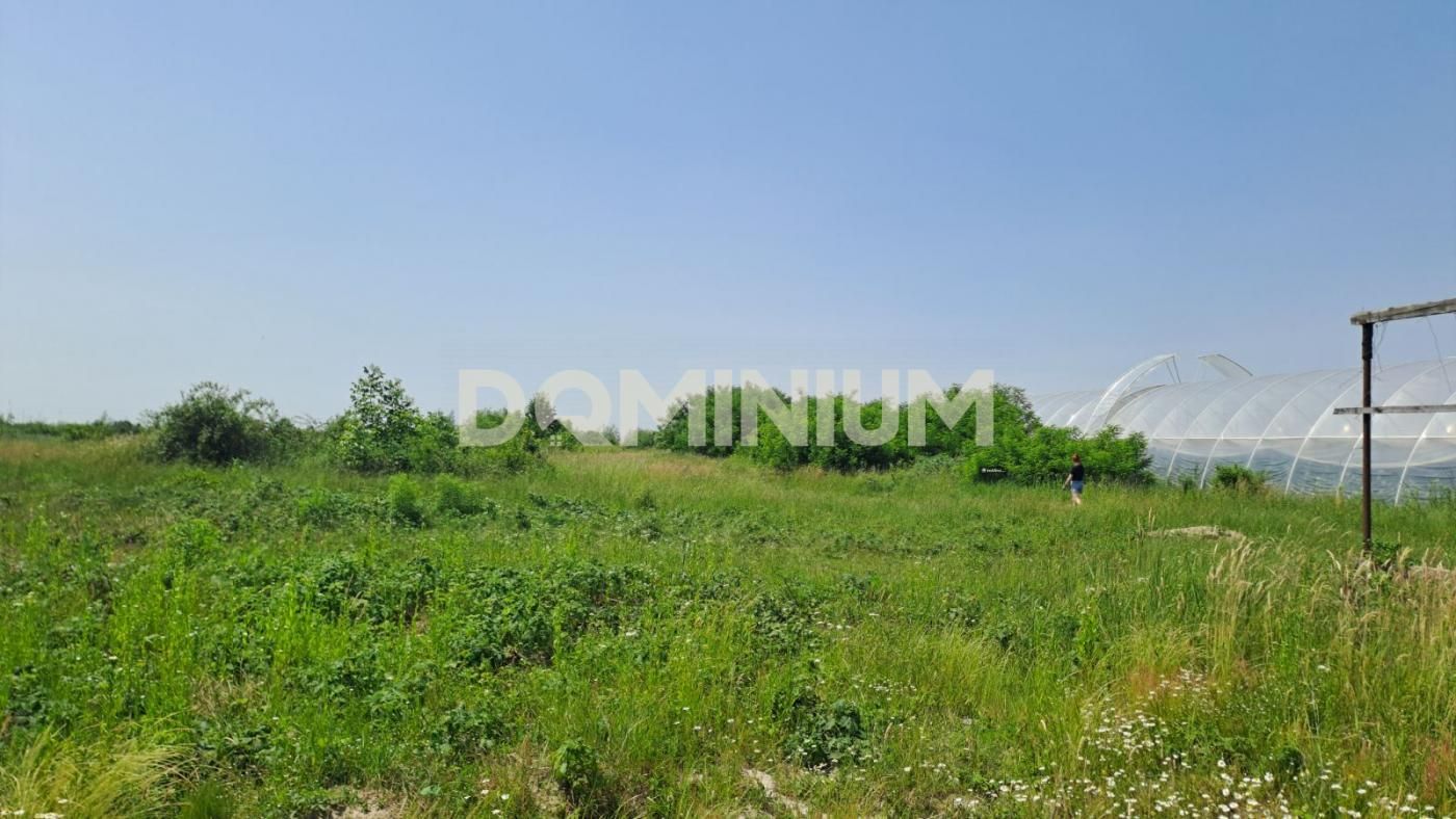 Продаж  земельної ділянки м.Виноградів , вул. Ягідна  9