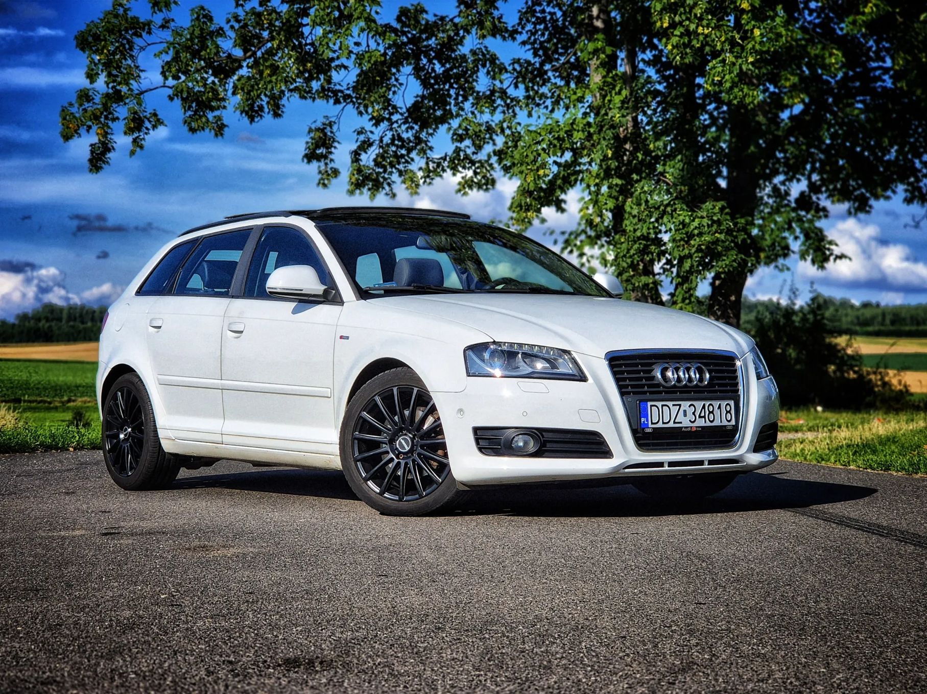 Audi A3 Audi A3 8P 2.0 TDI 140KM | Panorama | Xenon | Park Assist | S-Line