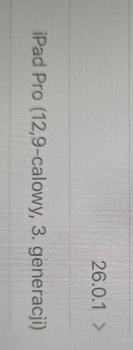 Ipad Pro 12,9 Cellular 256GB