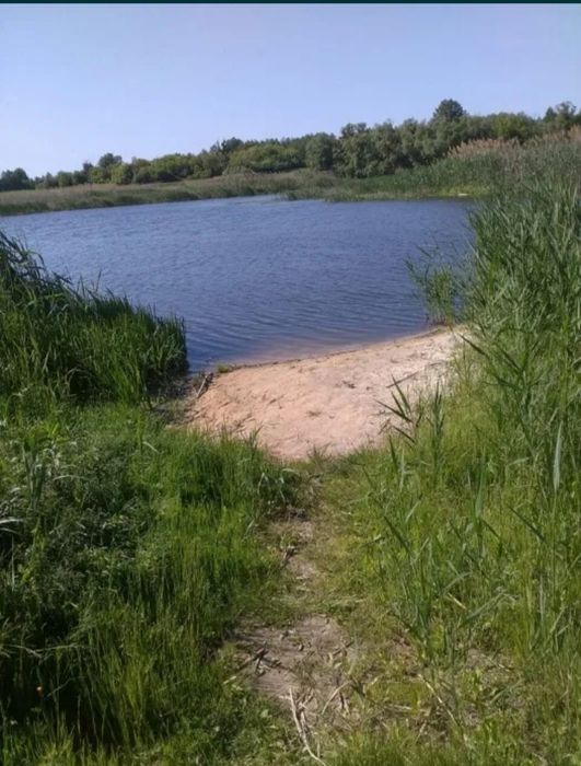 С.Кадомка Обухівський р-н  торг на місці