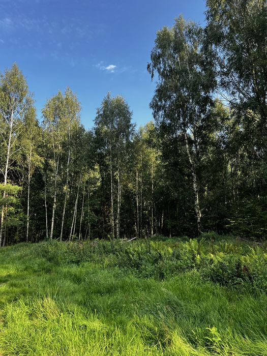 Działka 3000 m2 przy lesie z warunkami zabudowy