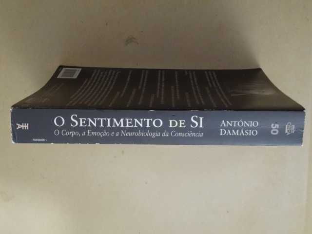 O Sentimento de Si de António Damásio
