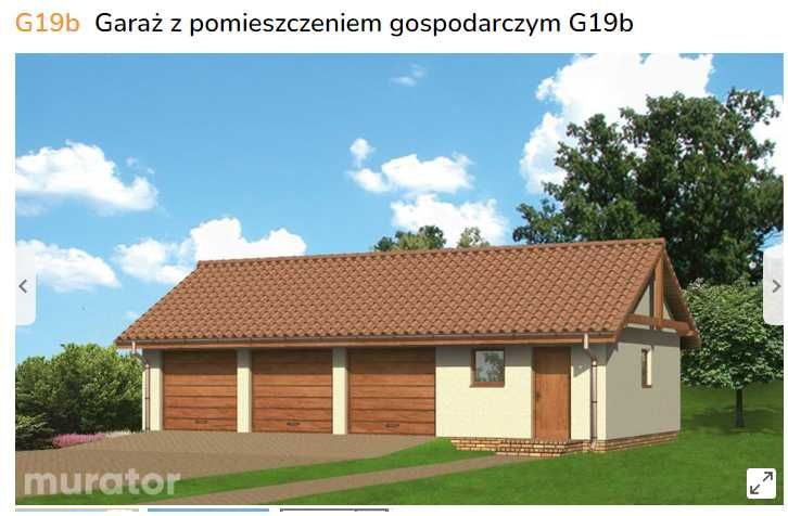 Murator G19b budynek gospodarczy projekt