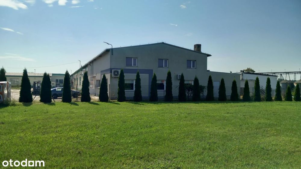 Chocicza obiekt produkcyjno-magazynowy