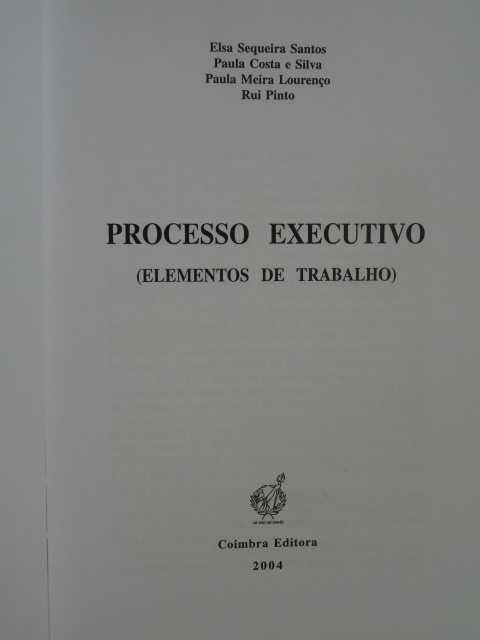 Processo Executivo de Paula Costa e Silva