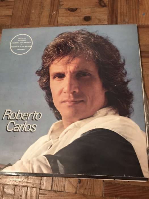 Conjunto discos vinil vários artistas