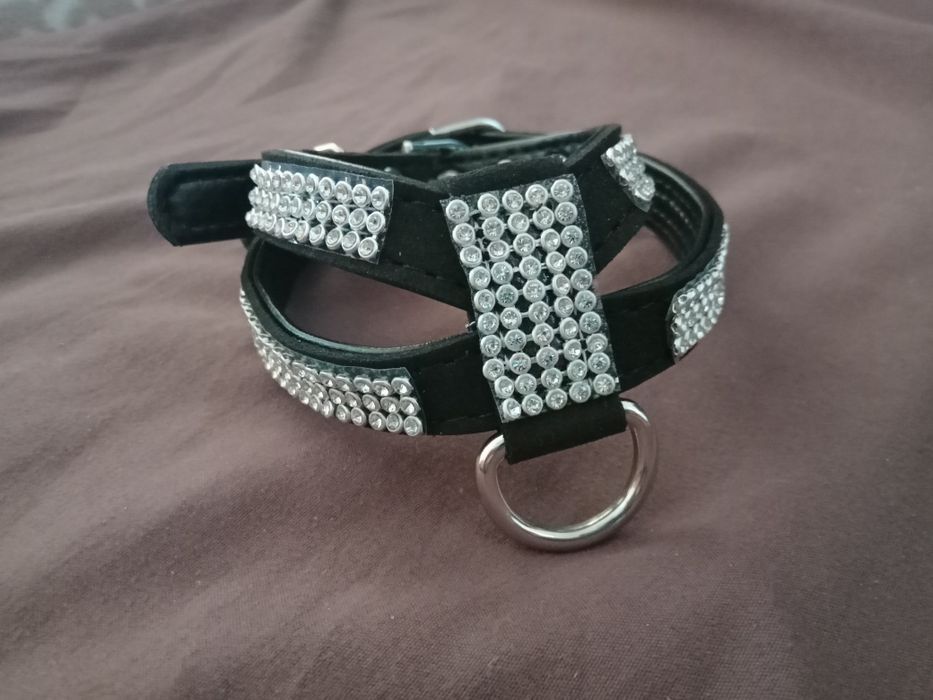 Czarne szelki dla psa kota rozmiar s/m cyrkonie buldog maltańczyk