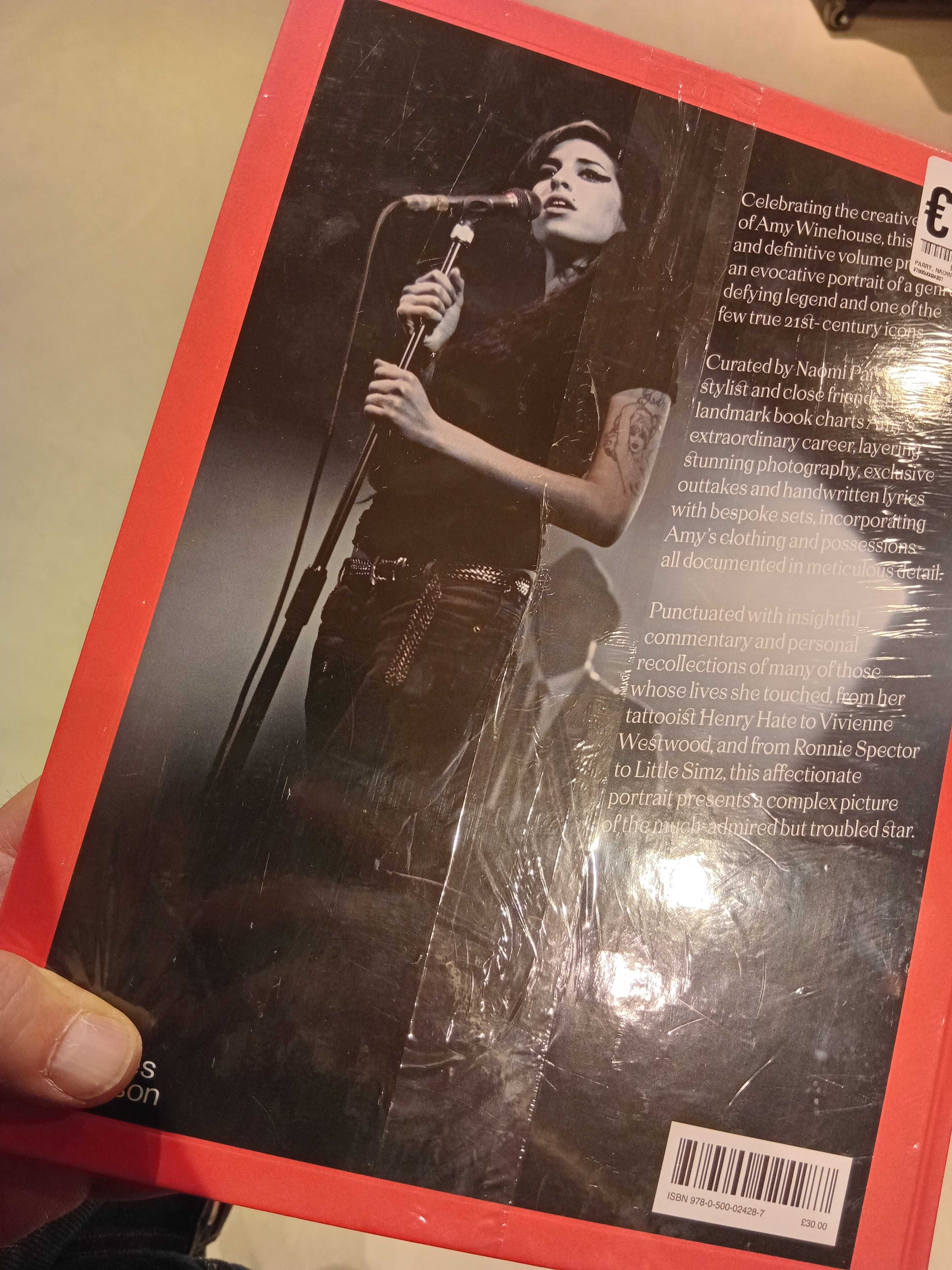 Livro ilustrado Amy Winehouse