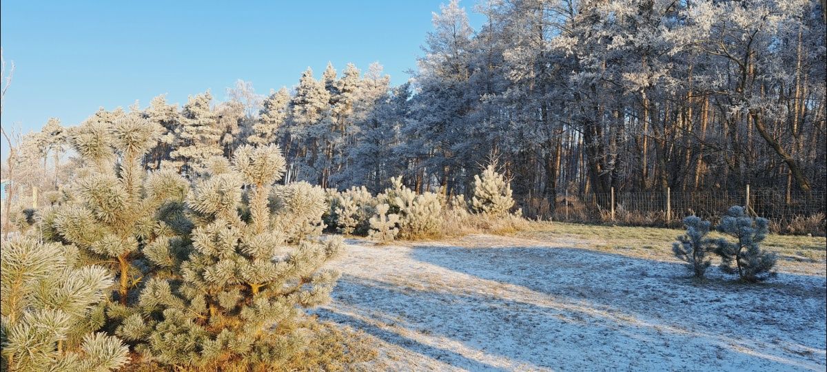 Działka budowlana Mnichowo 1035 m2