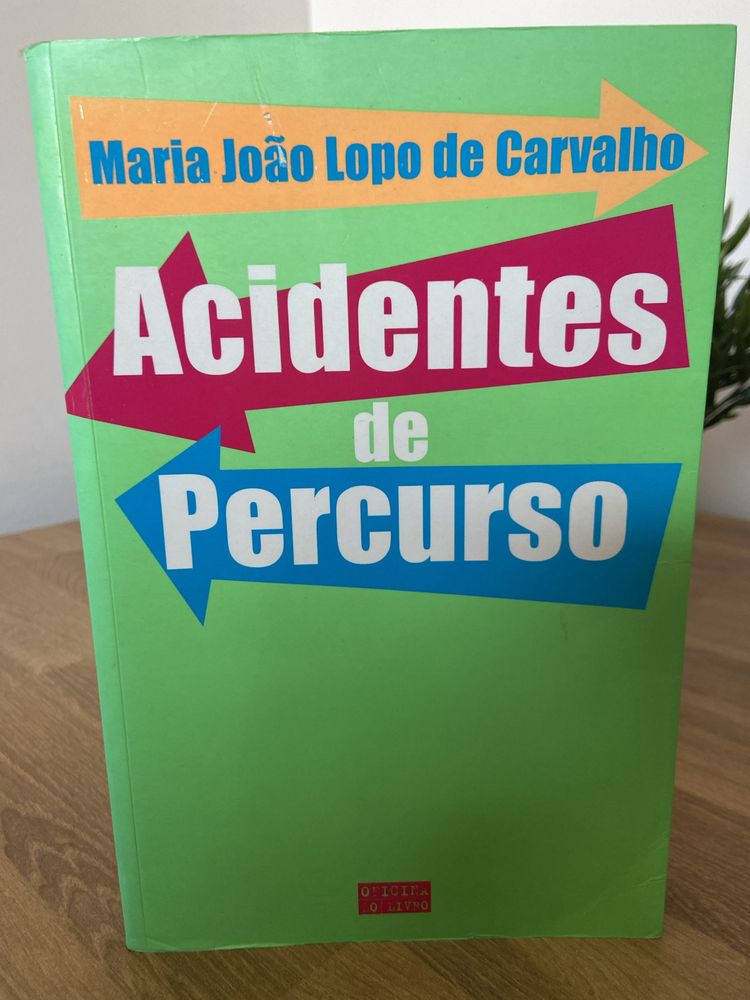 Acidentes de percurso - Maria João Lopo de Carvalho