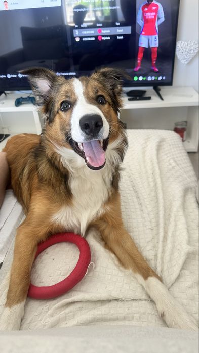 Doação Responsavel