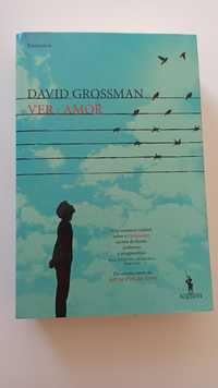 Ver: Amor - David Grossman