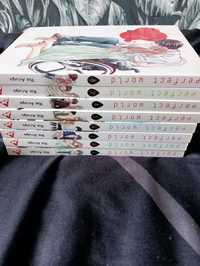 Fajna książka anime, manga Perfect World cz 8