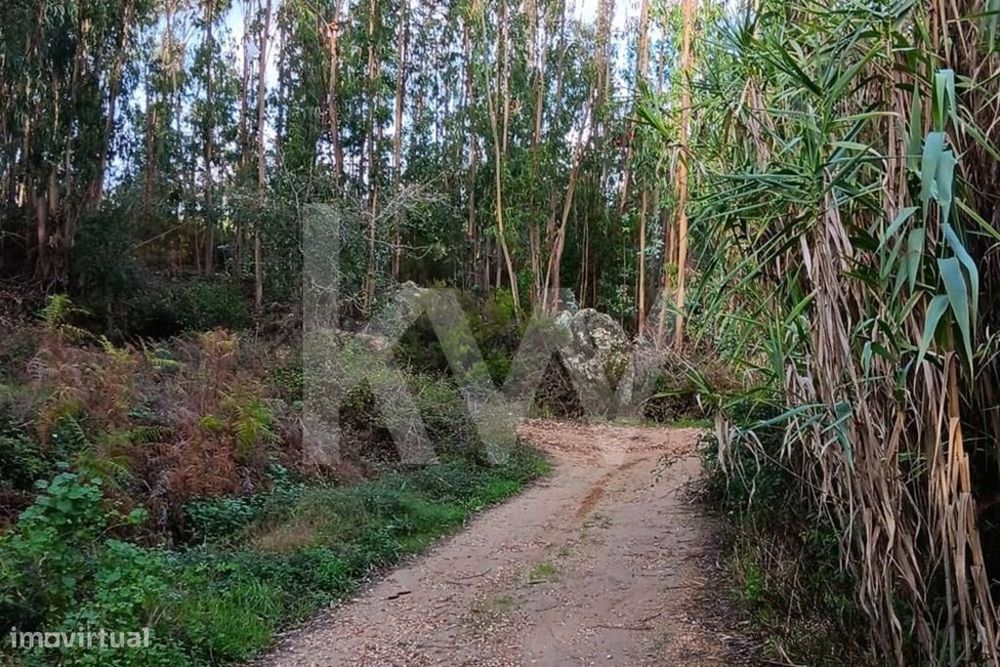 Venda de terreno rústico com 1.062m2 em Alcainça, Mafra