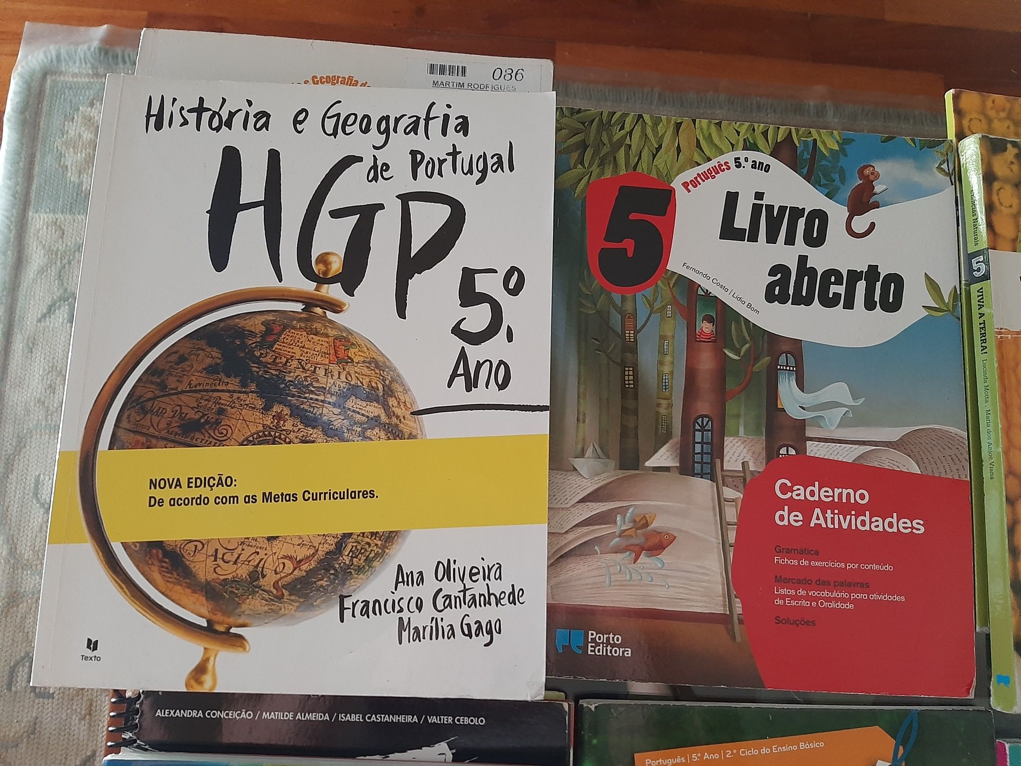 Diversos Manuais/Cadernos de actividades do 5° Ano.