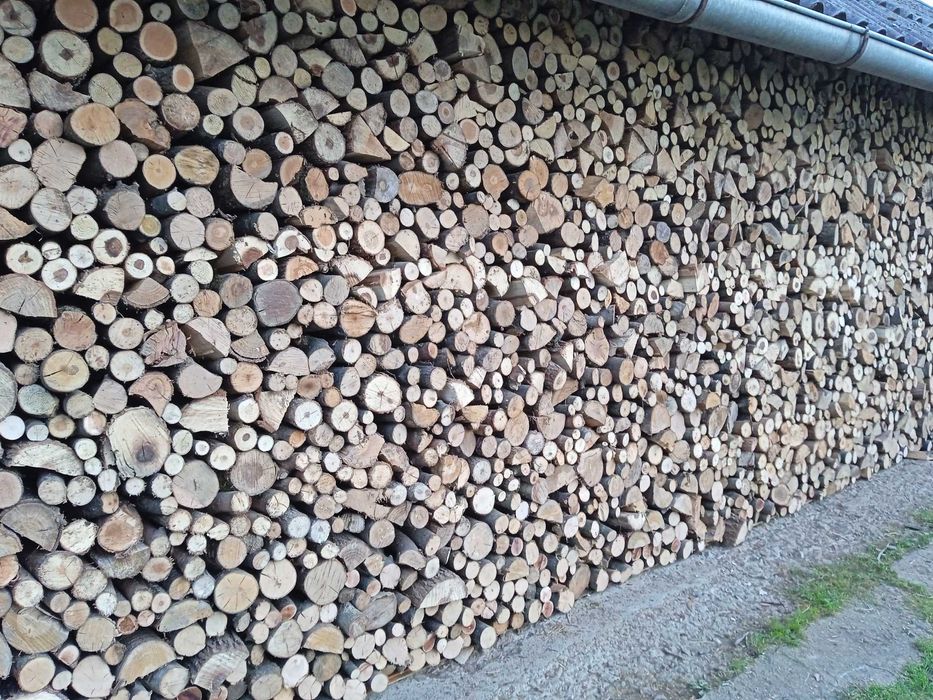 Drzewo opałowe suche
