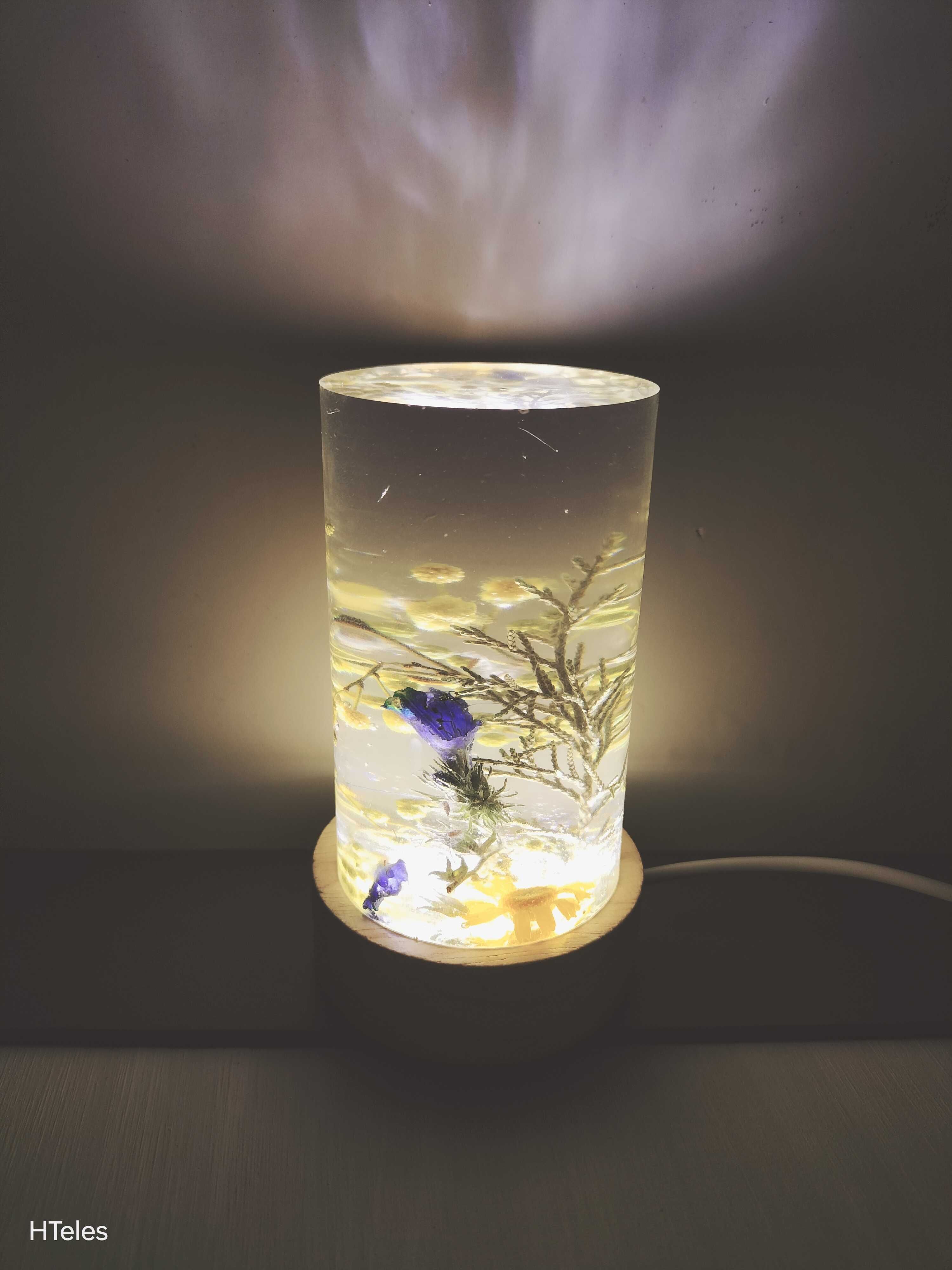 Luz noturna com flores naturais em resina