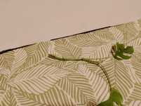Szczepka monstera minima