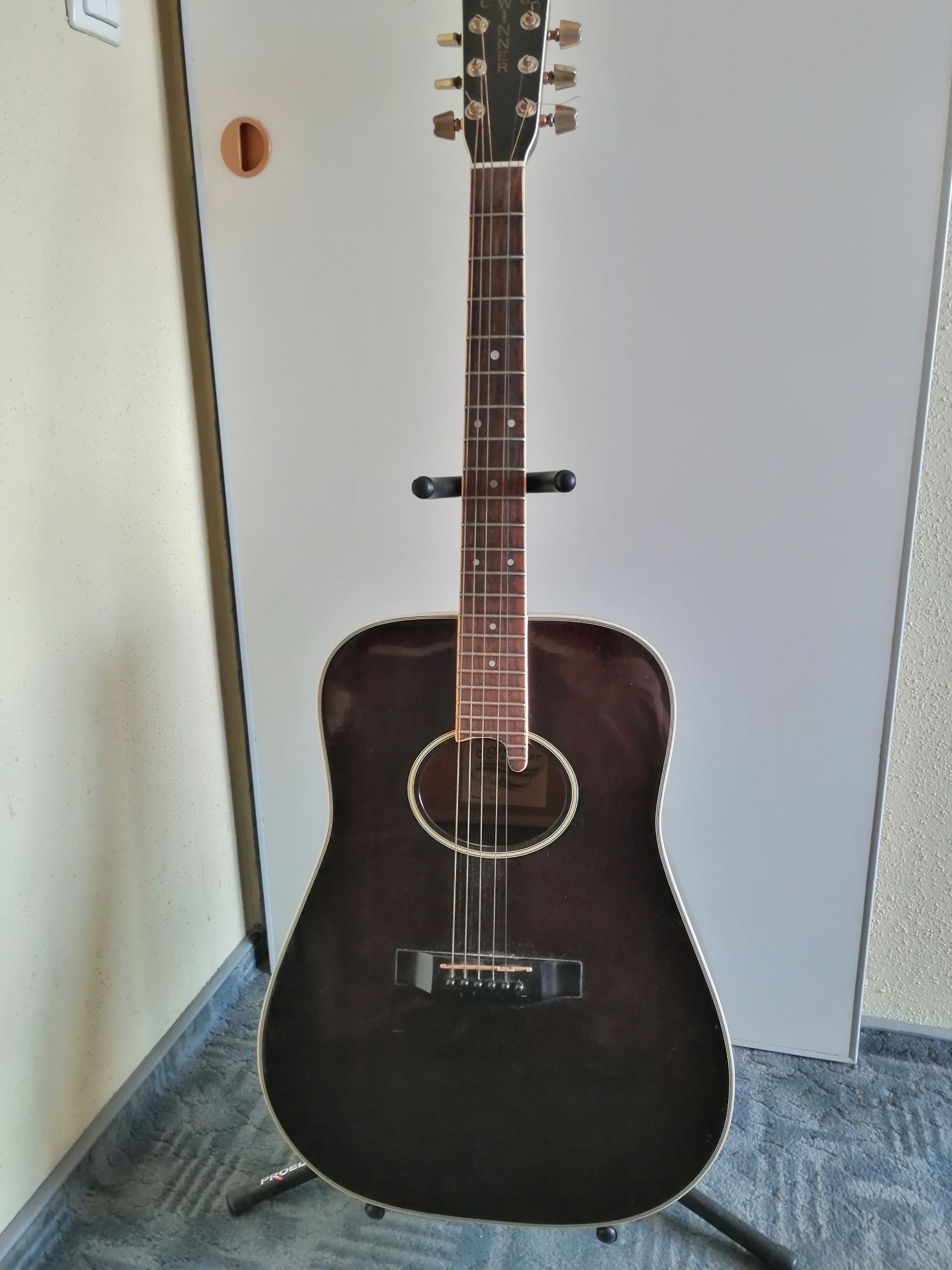 Gitara akustyczna CG Winners