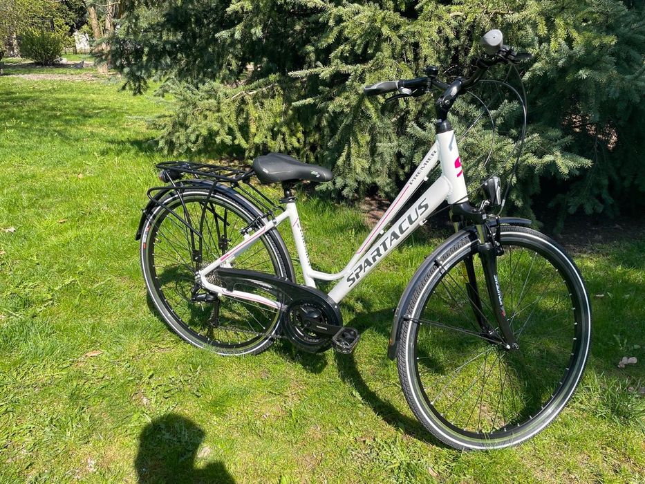 Rower Spartacus Premier 3.0 17 28"