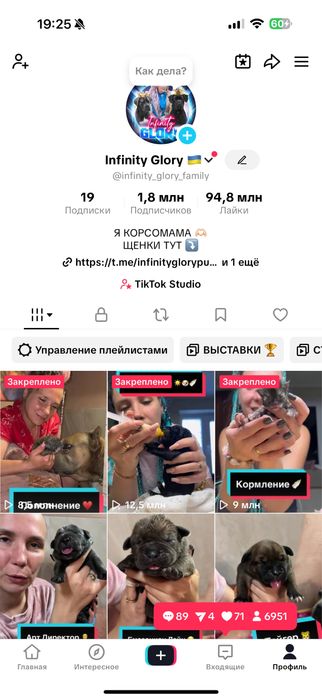 Infinity Glory Amazonian Lion! Шикарный , крупный кобель Кане Корсо