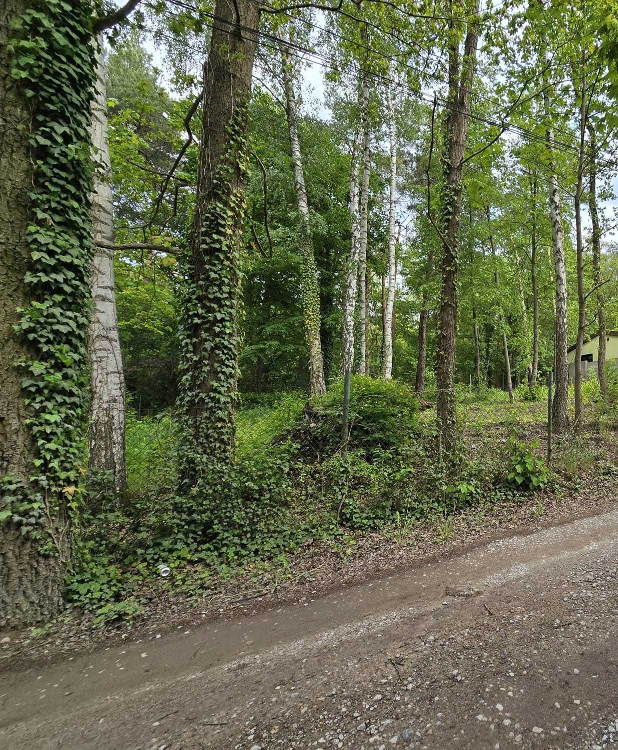 Justynów działka budowlana 600 m2 media