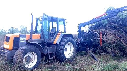 Wycinka  drzew trudnych metodą alpinistyczną, czyszczenie działek