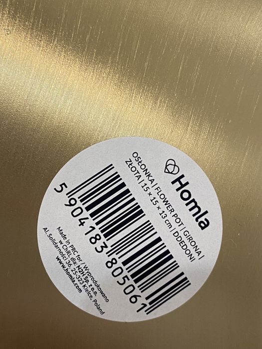 Złota dinoczka homla