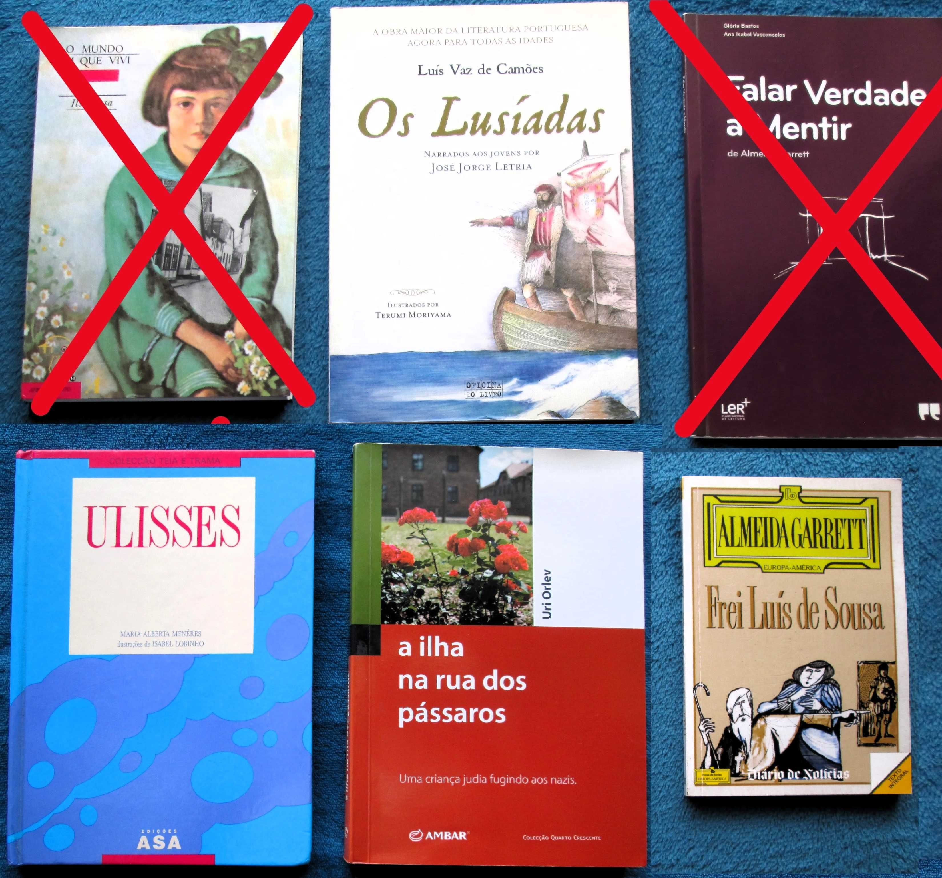 Metas Curriculares + Plano Nacional Leitura