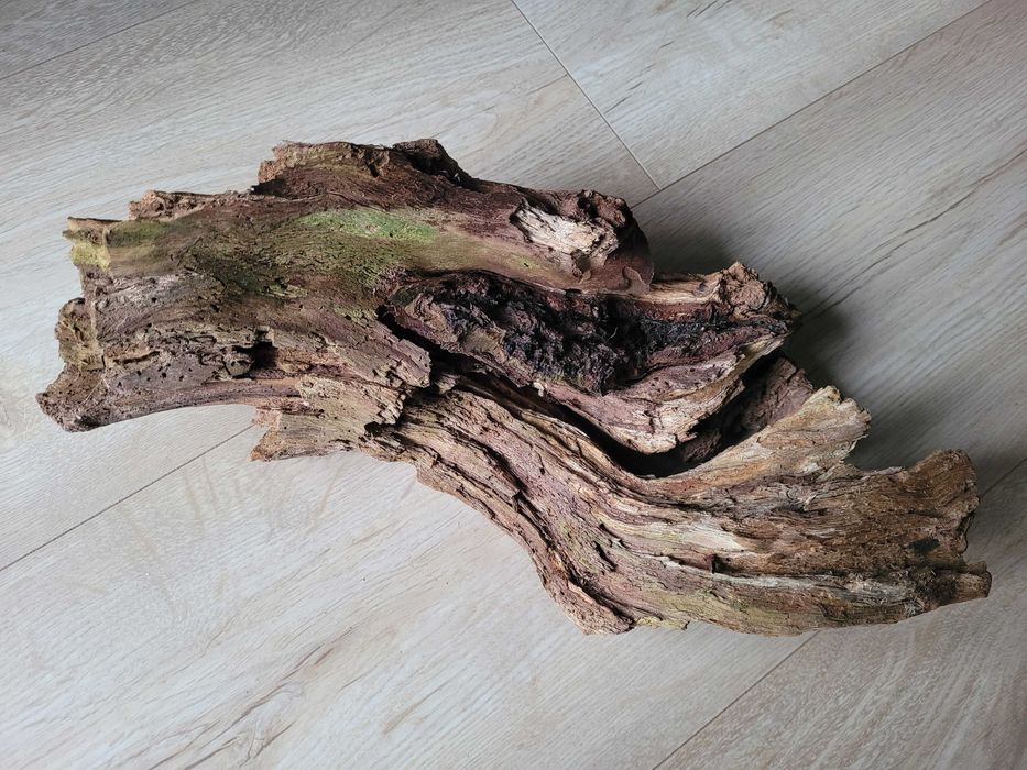 naturalny korzeń do akwarium terrarium - 33 cm