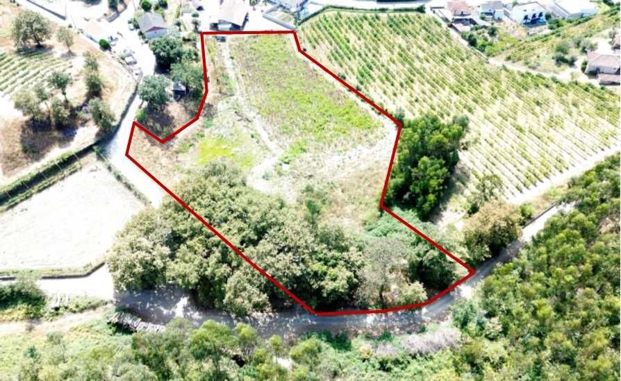 Terreno e Monte Guimarães