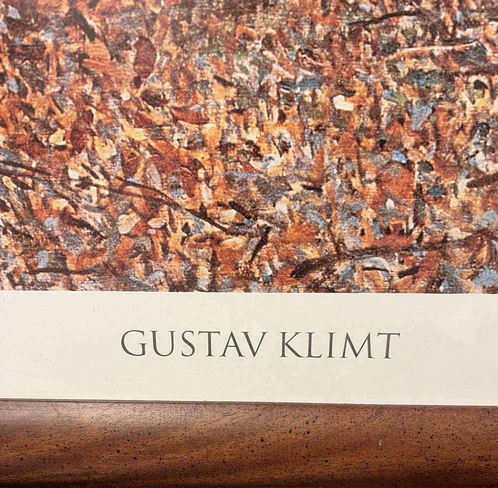 Gustav Klimt Brzozowy las obraz reprodukcja kopia