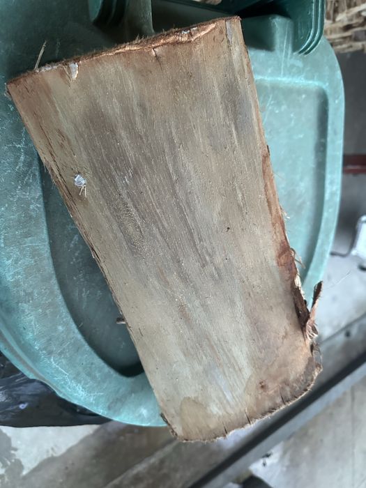 Madeira eucalipto seca pronta para entrega