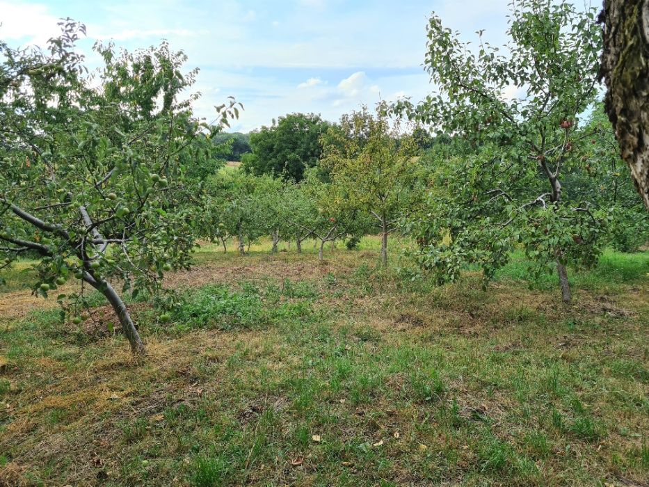 Продам велику ділянку з копанкою у Зарванці (біля Вінниці)
