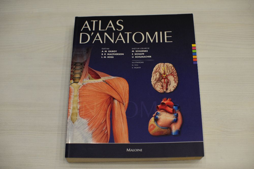 Атлас анатомии человека на французском atlas d'anatomie MALOINE 2010
