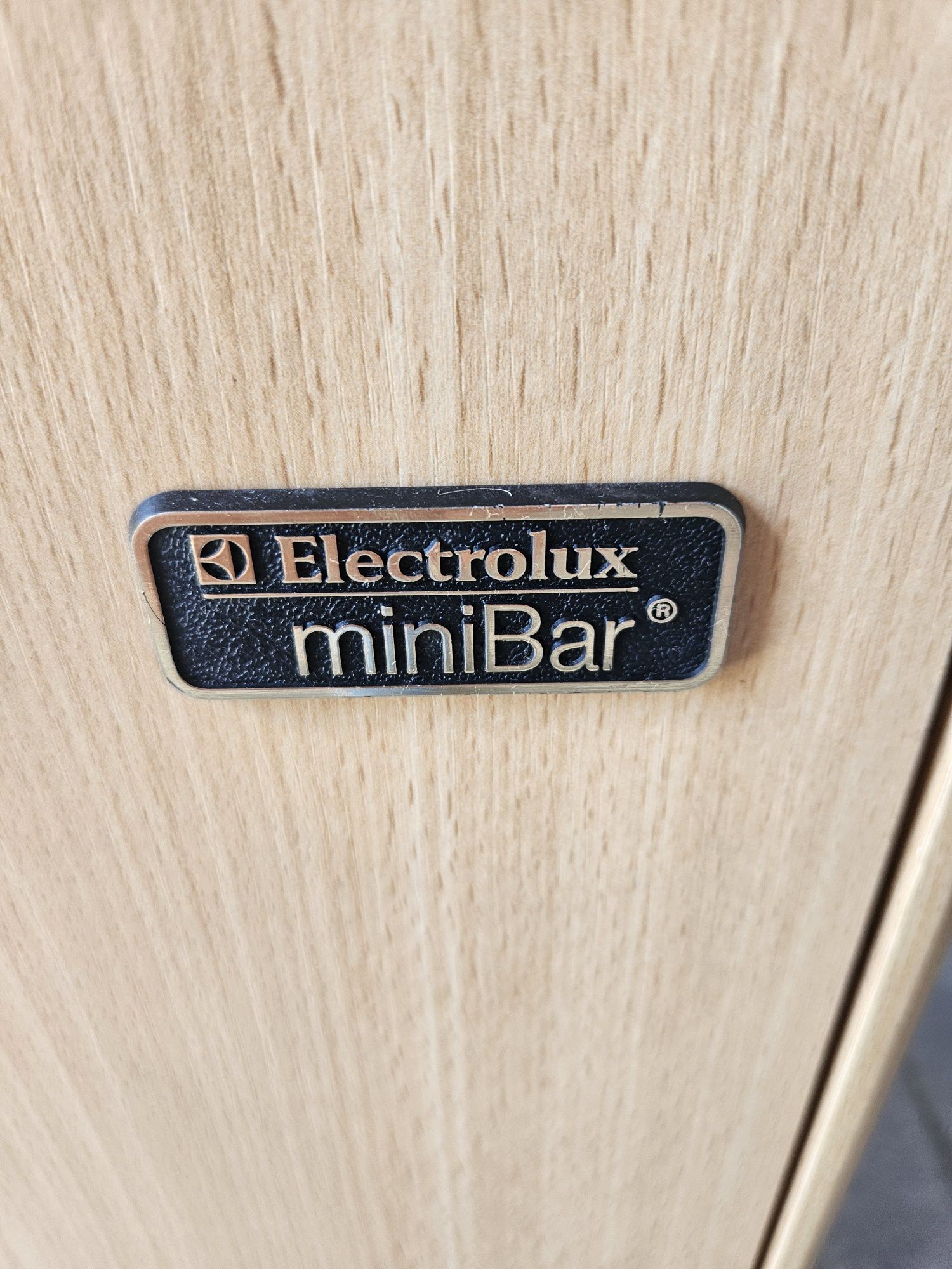 Lodówka hotelowa w zabudowie