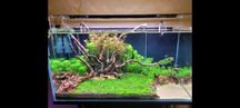 Lampa akwariowa Skylight intense 80 plus sterownik zmierzchu i świtu